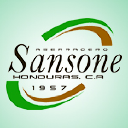 ASERRADERO SANSONE SA DE CV logo