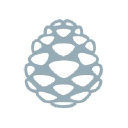 SILVER PINE COMPANY LIMITED logo