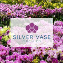 SILVER VASE INC. logo