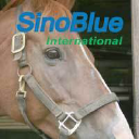 SinoBlue logo