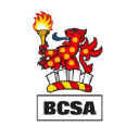 BCS S.P.A. logo