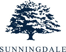 SUNNINGDALE TECH PENANG SDN BHD logo