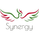 Synergy Tradeco logo