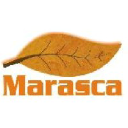 Tabacos Marasca logo