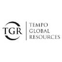 Tempo Global logo