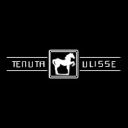 Tenuta Ulisse logo