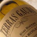 BODEGAS TERRAS GAUDA SA logo