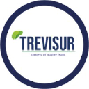 Trevisur logo