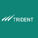 Trident Global logo