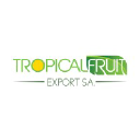 TropicalFruit Export logo