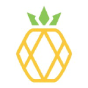 Pineapple logo