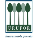 Urufor logo