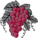 Valley Wine Warehouse logo