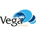 VEGA SALMON A/S logo