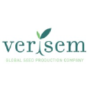 Verisem logo