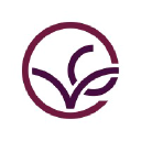 Vine Connections logo