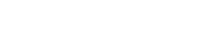 VORTON S.R.L logo