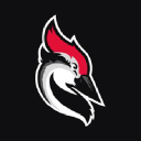 Woodpecker logo