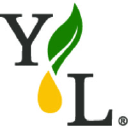 Young Living logo